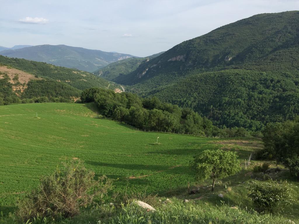 La Fusteria Del Casat Lägenhet Sarroca de Bellera Exteriör bild