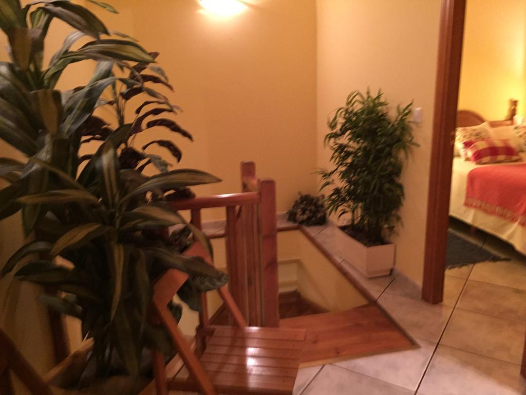 La Fusteria Del Casat Lägenhet Sarroca de Bellera Exteriör bild